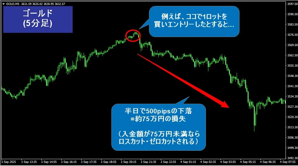 海外FXのハイレバは利益だけでなく損失も大きくなりやすい